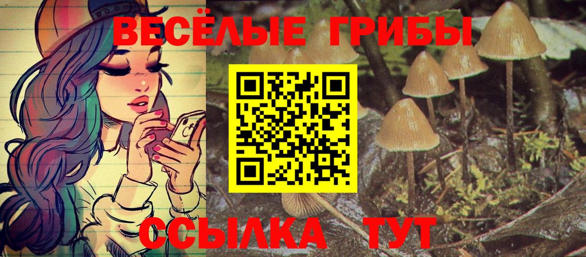 Псилоцибиновые грибы Psilocybine cubensis Зерноград